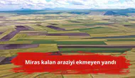 Miras kalan araziyi ekmeyen yandı