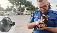 Konya'da polis bu kez bir yavru kedi için seferber oldu