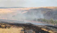 Konya’da yangın çıktı! Rüzgarın etkisi ile ormana sıçradı