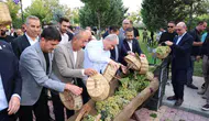 Konya’da Meram’ın meşhur bağında üzümler toplandı! Pekmezler kaynadı