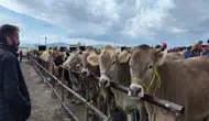 Konya’daki hayvan pazarı kapatılıyor!