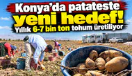 Konya’da patateste yeni hedef! Yıllık 6-7 bin ton tohum üretiliyor
