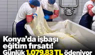 Konya’da işbaşı eğitim fırsatı! Günlük 1.079,83 TL ödeniyor