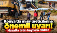 Konya’da mısır üreticilerine önemli uyarı! Hasatta ürün kaybına dikkat