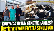 Konya’da üstün genetik hamlesi!     Üreticiye uygun fiyatla sunuluyor