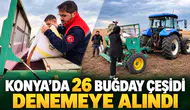 Konya’da 26 buğday çeşidi denemeye alındı