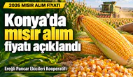 Konya’da mısır alım fiyatı açıklandı