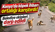 Konya’da köpek ihbarı ortalığı karıştırdı! Belediye ekipleri darp edildi