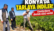 Konya’da tarlaya indiler! Üreticilere destek sözü verildi