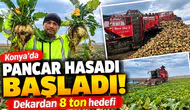 Konya’da pancar hasadı başladı! Dekardan 8 ton hedefi