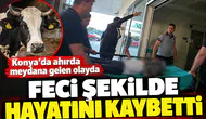 Konya’da ahırda meydana gelen olayda feci şekilde hayatını kaybetti