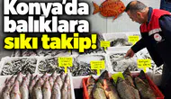 Konya’da balıklara sıkı takip!