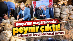 Konya’da peynirler mağaradan çıkarıldı! Geleneksel yöntemle üretiliyor
