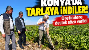 Konya’da tarlaya indiler! Üreticilere destek sözü verildi