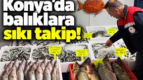 Konya’da balıklara sıkı takip!