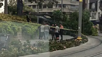 Konya’da tramvay yoluna ağaç devrildi! Ulaşım duyurusu yapışdo