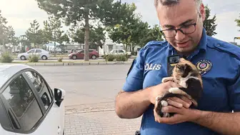 Konya'da polis bu kez bir yavru kedi için seferber oldu