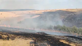 Konya’da yangın çıktı! Rüzgarın etkisi ile ormana sıçradı