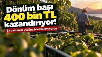 Dönüm başı 400 bin TL kazandırıyor! Bir zamanlar yüzüne bakılmıyordu