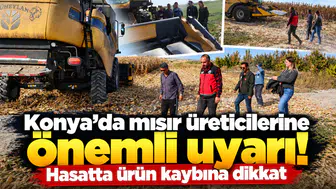 Konya’da mısır üreticilerine önemli uyarı! Hasatta ürün kaybına dikkat