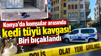 Konya’da komşular arasında kedi tüyü kavgası! Biri bıçaklandı