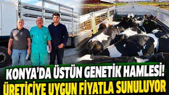 Konya’da üstün genetik hamlesi!     Üreticiye uygun fiyatla sunuluyor