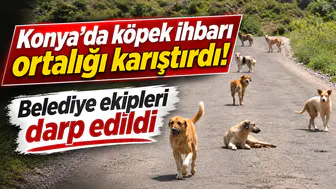 Konya’da köpek ihbarı ortalığı karıştırdı! Belediye ekipleri darp edildi