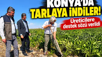 Konya’da tarlaya indiler! Üreticilere destek sözü verildi