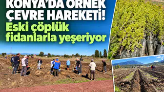 Konya’da örnek çevre hareketi! Eski çöplük fidanlarla yeşeriyor