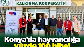 Konya’da hayvancılığa yüzde 100 hibe!