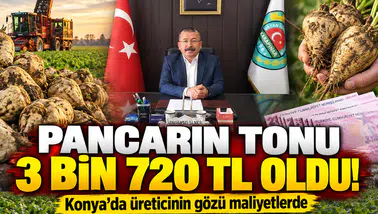 Pancarın tonu 3 bin 720 TL oldu! Konya’da üreticinin gözü maliyetlerde
