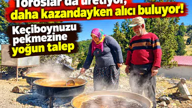 Toroslar’da üretiyor, daha kazandayken alıcı buluyor! Keçiboynuzu pekmezine yoğun talep