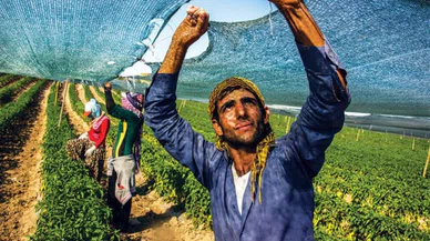 Gençlerin köyleri terk etme sebebi şaşırttı! Evlenmek için kız bulamıyorlar