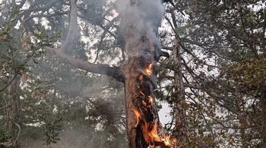 Felaketi son anda önledi işte o anlar