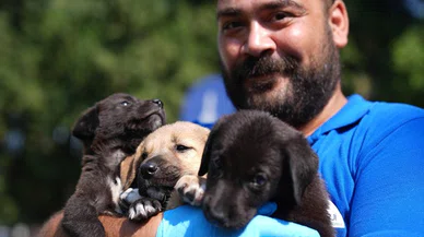 Yangından etkilenen hayvanlara bakın ne yapılacak...