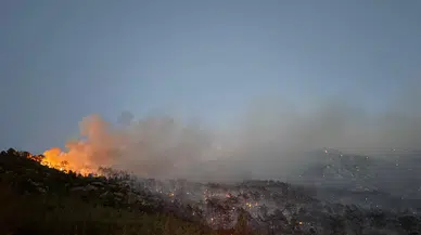 Konya ekibi destekledi! Denizli'deki orman yangını söndürüldü