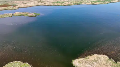 Valilik açıkladı! Konya yakınındaki göle girmek yasaklandı
