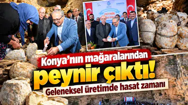 Konya’da peynirler mağaradan çıkarıldı! Geleneksel yöntemle üretiliyor