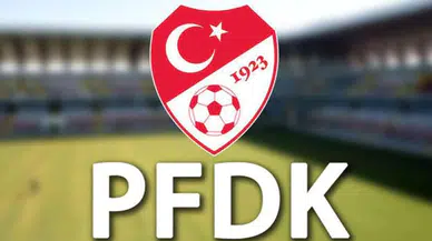 Milan Skriniar, PFDK'ya sevk edildi