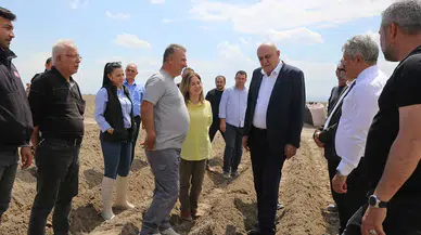 İthalat bitecek! Konya’da patates üretiminde büyük hedef