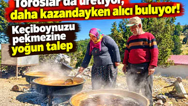Toroslar’da üretiyor, daha kazandayken alıcı buluyor! Keçiboynuzu pekmezine yoğun talep