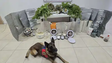 Konya’da uyuşturucu baskını! 2,7 kilo esrar ve yüzlerce hap ele geçirildi
