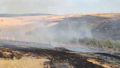 Konya’da yangın çıktı! Rüzgarın etkisi ile ormana sıçradı