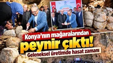 Konya’da peynirler mağaradan çıkarıldı! Geleneksel yöntemle üretiliyor