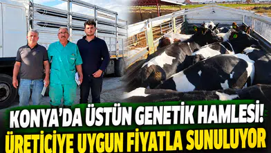 Konya’da üstün genetik hamlesi!     Üreticiye uygun fiyatla sunuluyor