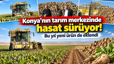 Konya’nın tarım merkezinde hasat sürüyor! Bu yıl yeni ürün de eklendi