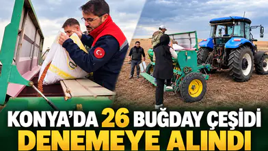 Konya’da 26 buğday çeşidi denemeye alındı