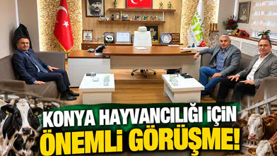 Konya hayvancılığı için önemli görüşme!