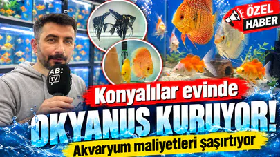 Konyalılar evinde okyanus kuruyor! Akvaryum maliyetleri şaşırtıyor