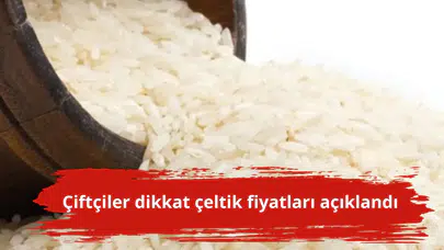 Çiftçiler dikkat çeltik fiyatları açıklandı